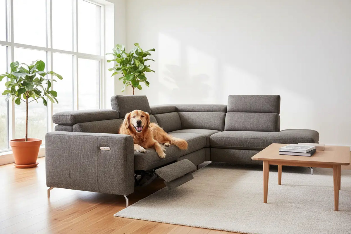 Best Pet-Friendly Reclining Sofa: The Complete Guide for Pet Owners