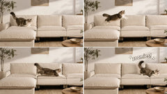Best Couch Fabric for Cats: Durable and Scratch-Resistant Options